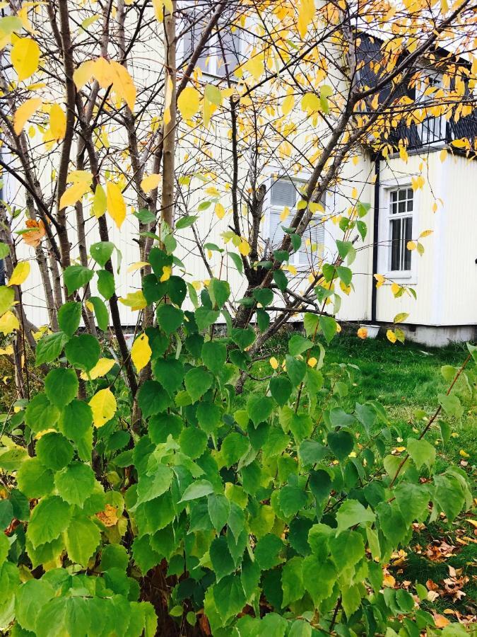 Parkgatan Villa Krylbo Dış mekan fotoğraf